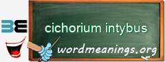 WordMeaning blackboard for cichorium intybus